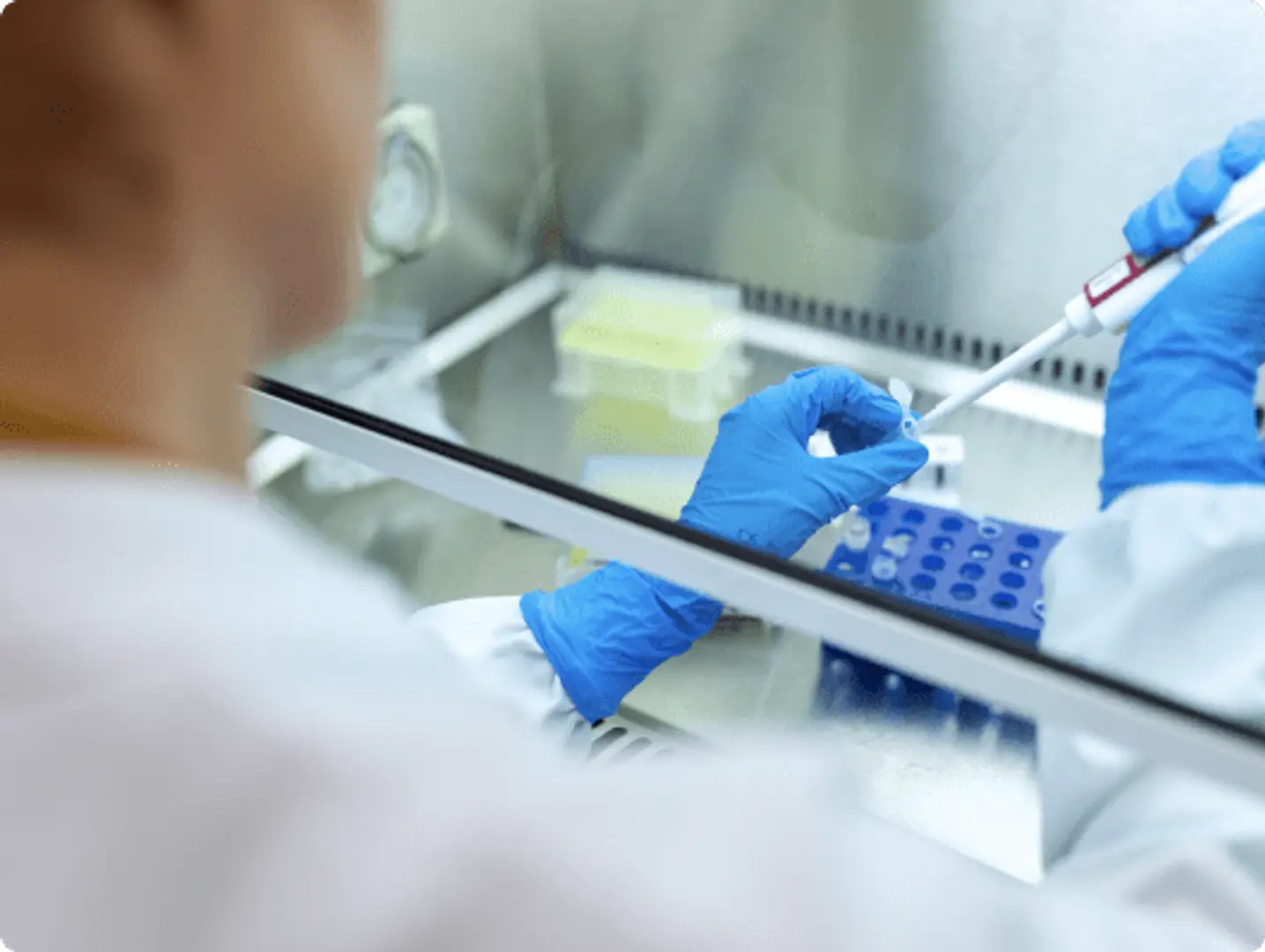 68185520342bedfb5462791b